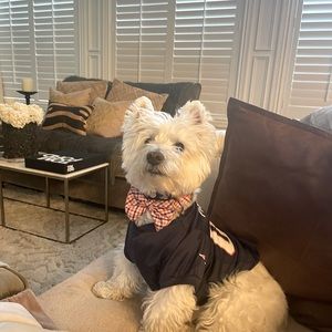 Meet your Posher, Jay